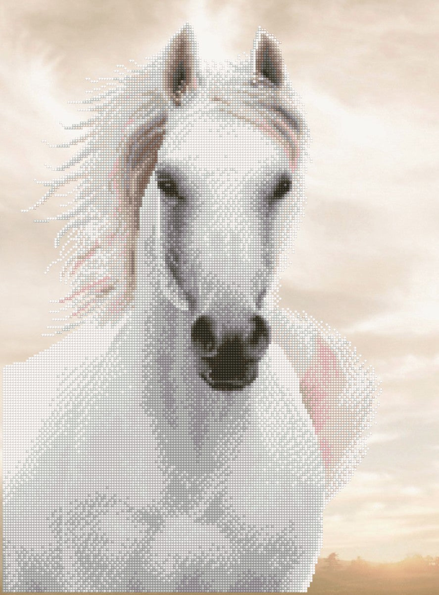 Diamond Dotz - 65x48 cm - paard