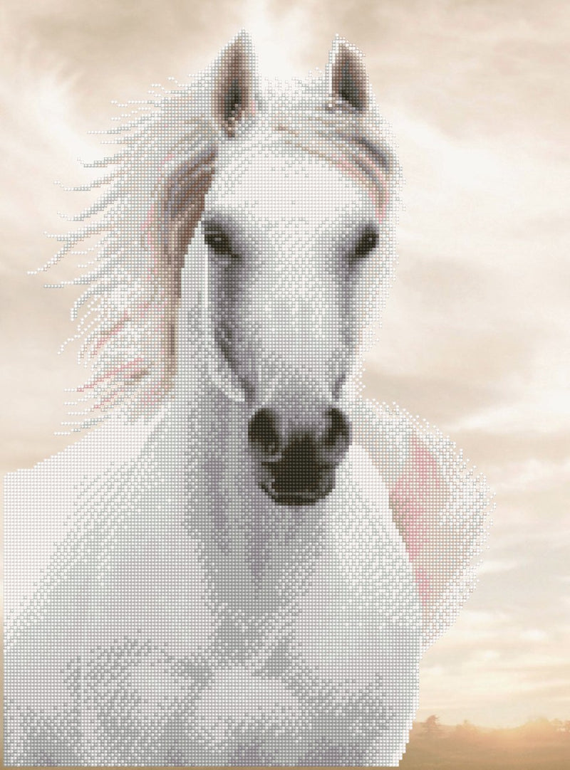 Diamond Dotz - 65x48 cm - paard