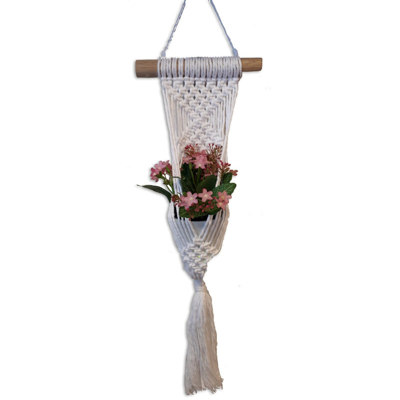 Hoooked Spesso Chunky Cotton - almond