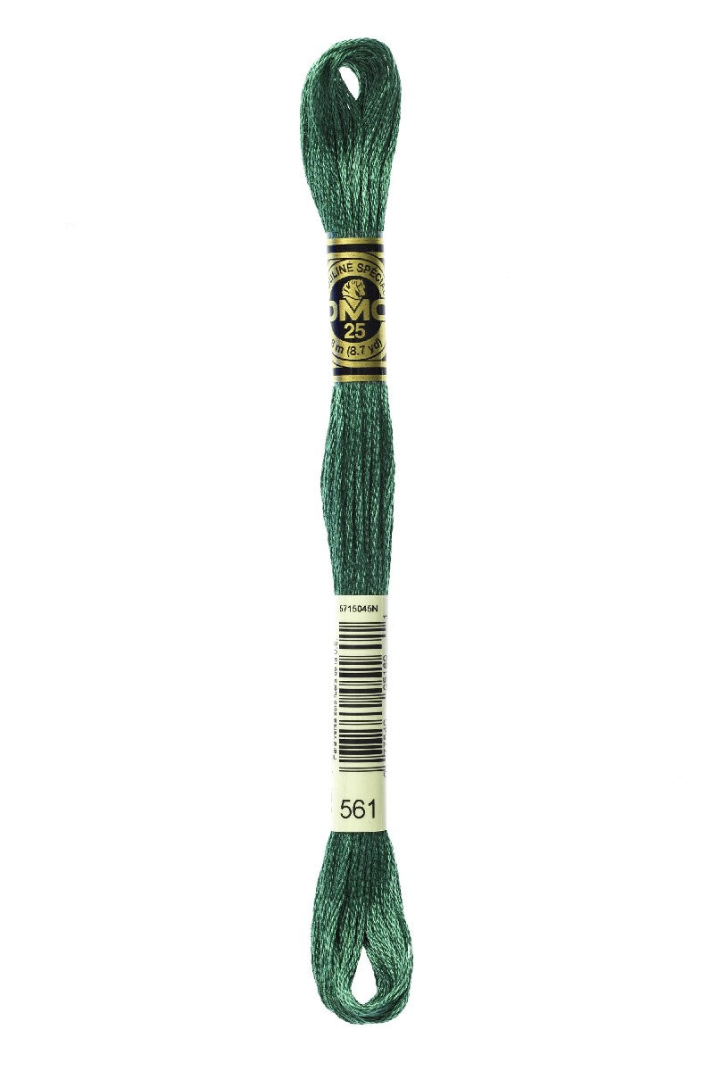 DMC Mouliné Spécial - 561