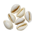 Schelpen heel - 30 stuks - wit