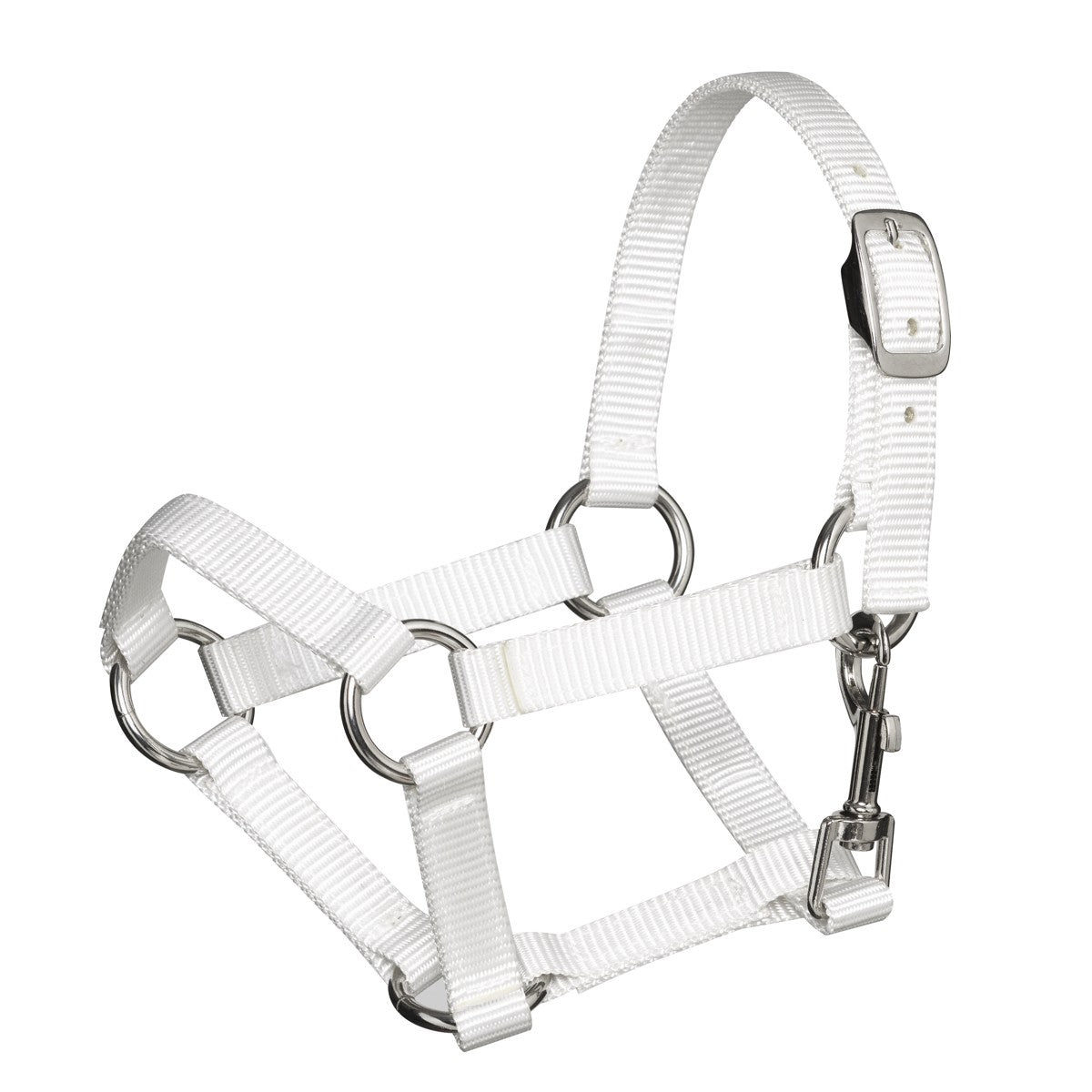 Hobby Horse - halster - wit