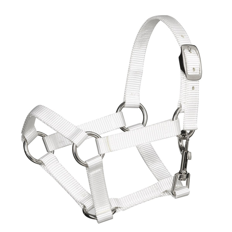 Hobby Horse - halster - wit
