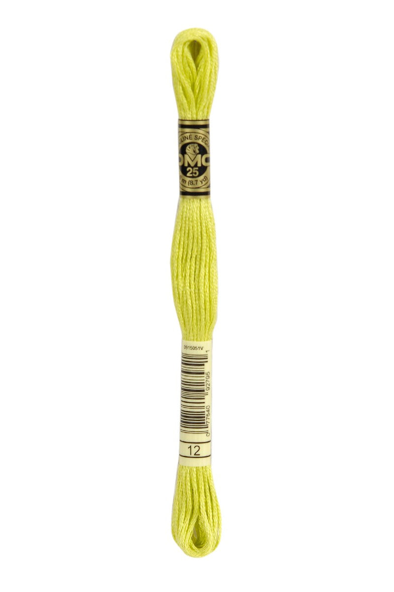 DMC Mouliné Spécial - 12