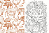 Boek - volwassenen doeboek - Flora & fauna
