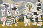 Boek - volwassenen doeboek - Flora & fauna