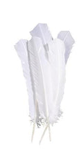 decoratieve veren 30 cm - wit 15 stuks
