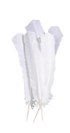decoratieve veren 30 cm - wit 15 stuks