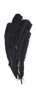 decoratieve veren 30 cm - zwart 15 stuks