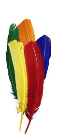 decoratieve veren 30 cm -  assorti 15 stuks