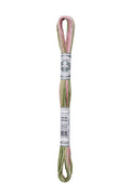DMC Mouliné Coloris - 4500