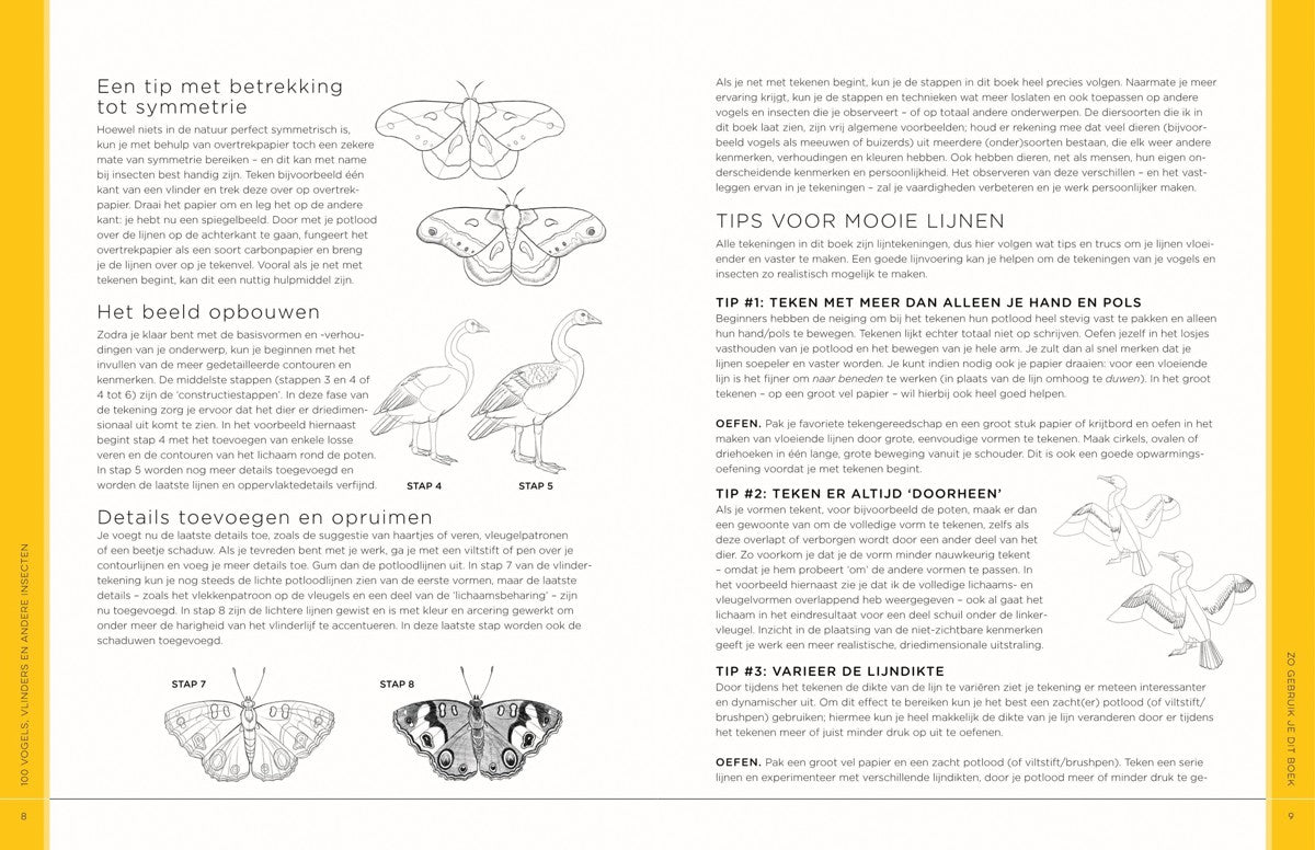 Boek - 100 vogels, vlinders en andere insecten
