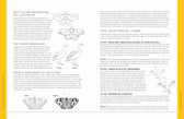 Boek - 100 vogels, vlinders en andere insecten