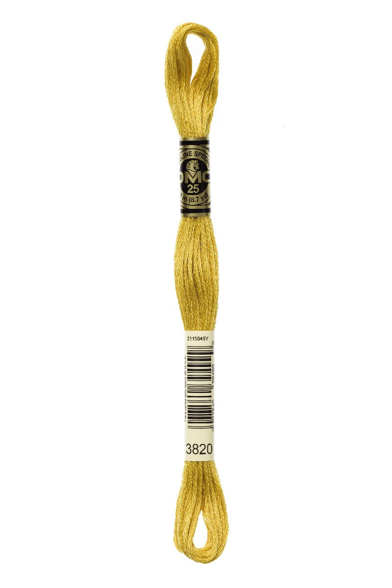 DMC Mouliné Spécial - 3820