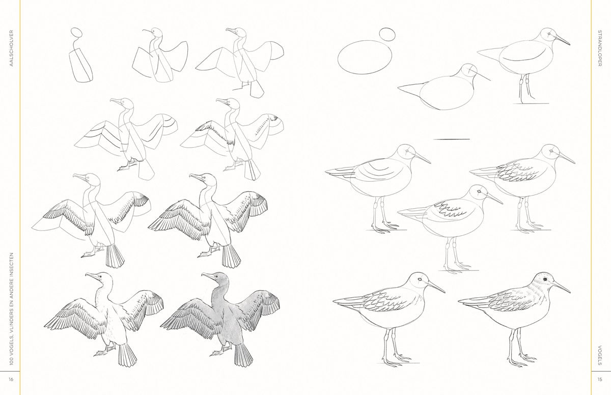 Boek - 100 vogels, vlinders en andere insecten