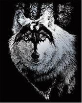 Engraving art - zilver - wolf