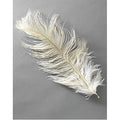Struisvogelveer ±45 cm - crème 1 stuk