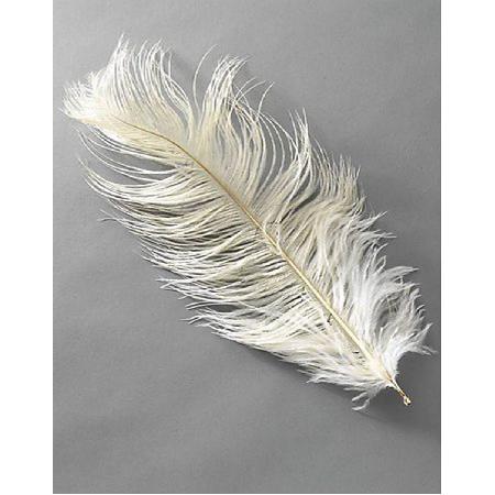 Struisvogelveer ±45 cm - crème 1 stuk