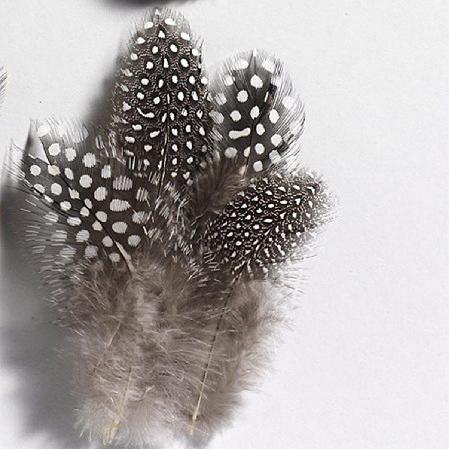 Parelhoenveren natuur 5-10 cm ±40 stuks