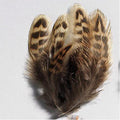 Fazantveren klein 4-8 cm - beige ±40 stuks