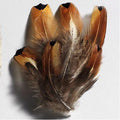 Fazantveren klein 4-8 cm - bruin ±40 stuks
