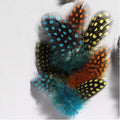 Parelhoenveren 3-10 cm - blauw, geel en oranje ±40 stuks