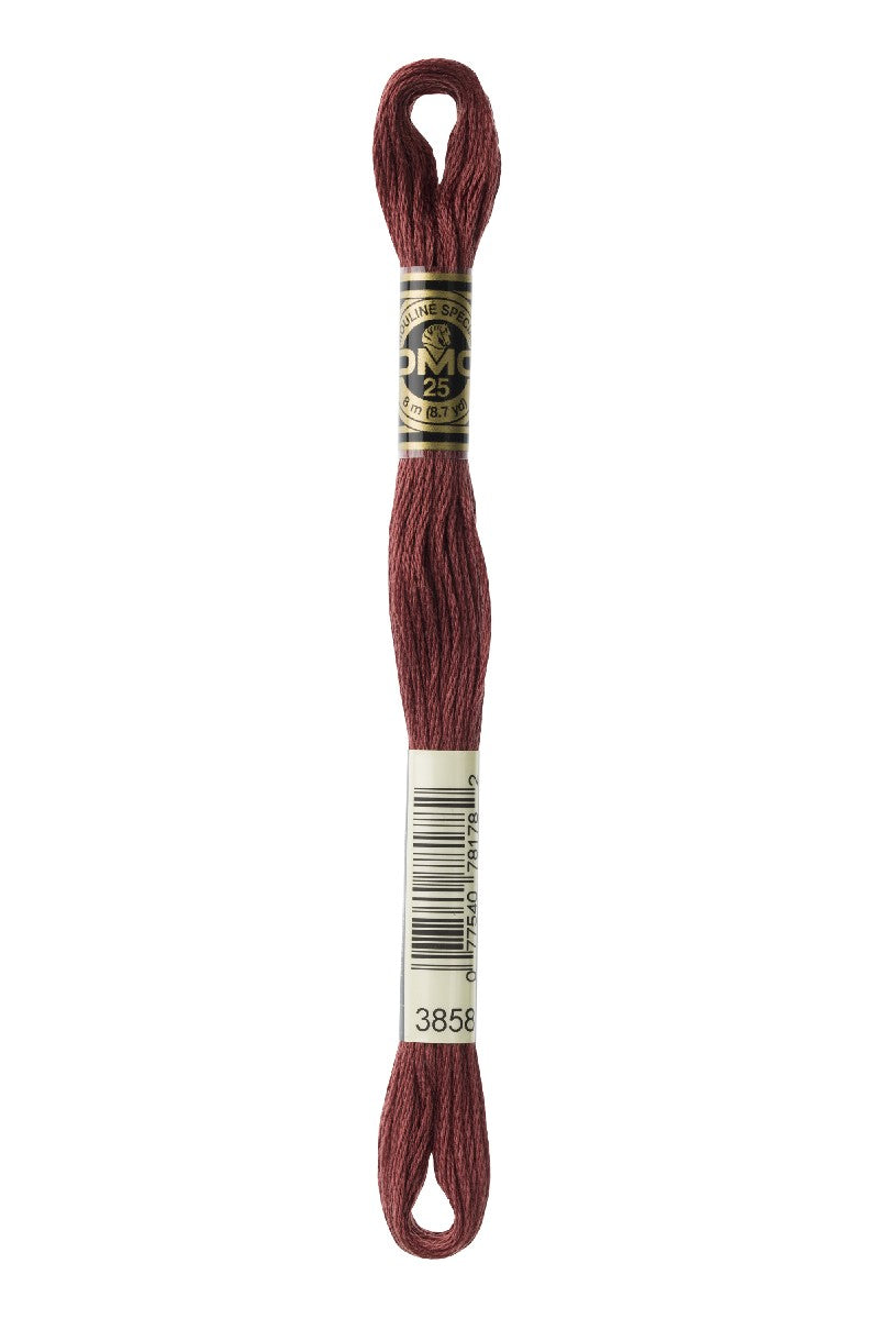 DMC Mouliné Spécial - 3858