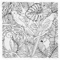 Voorbedrukt canvasdoek - 30x30 cm - parrots