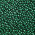 Rocailles - 6/0 - groen