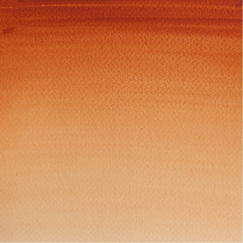 W&N Cotman Watercolours - half napje - burnt sienna