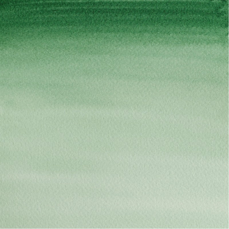W&N Cotman Watercolours - half napje - hookers green dark