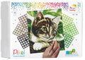 Pixelhobby set - 9 platen - kitten