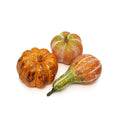 Decoratie pompoenen set van 3
