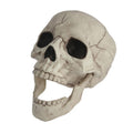 Schedel 20 cm