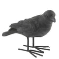 Zwarte kraai 11 cm