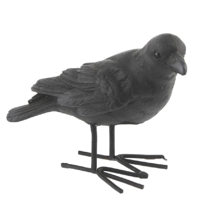 Zwarte kraai 11 cm