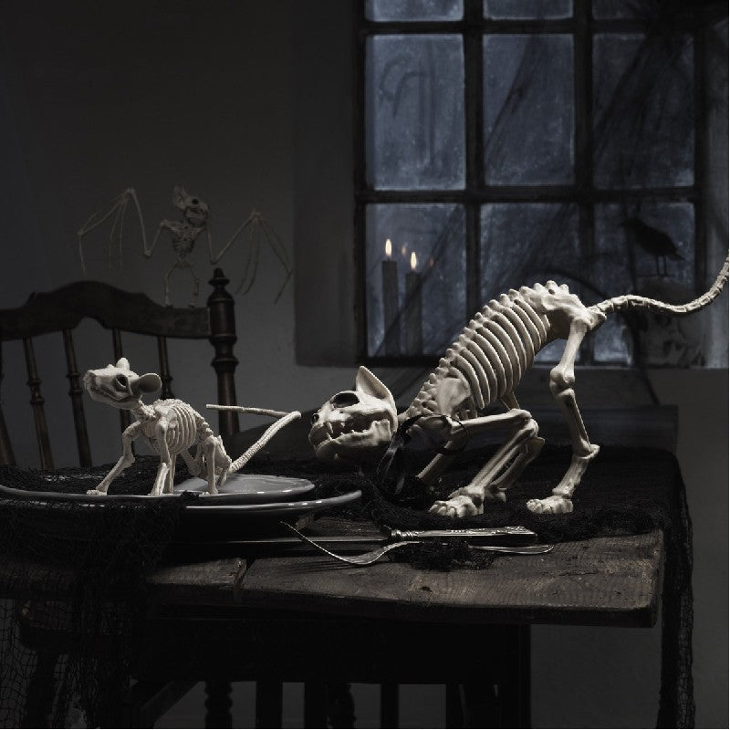 Skelet vleermuis