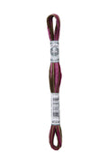 DMC Mouliné Coloris - 4504