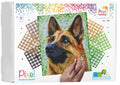 Pixelhobby set - 9 platen - herdershond