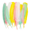 Kalkoenveren pastel - 30 cm - 16 stuks