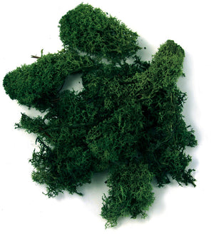 IJslandmos - 100 gram - groen