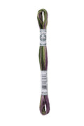 DMC Mouliné Coloris - 4505