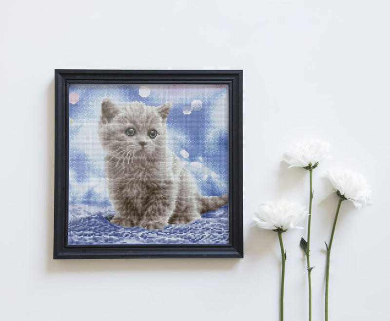 Diamond Dotz -35x35 cm - kitten