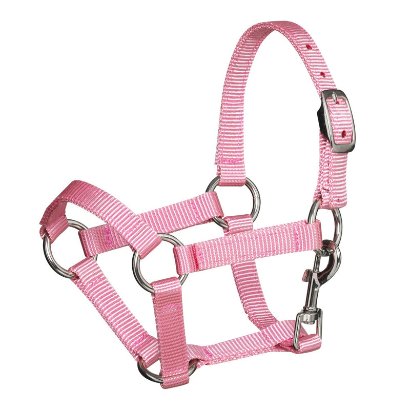 Hobby Horse - halster - roze