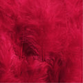donzen veren 5-9 cm - rood 12 stuks