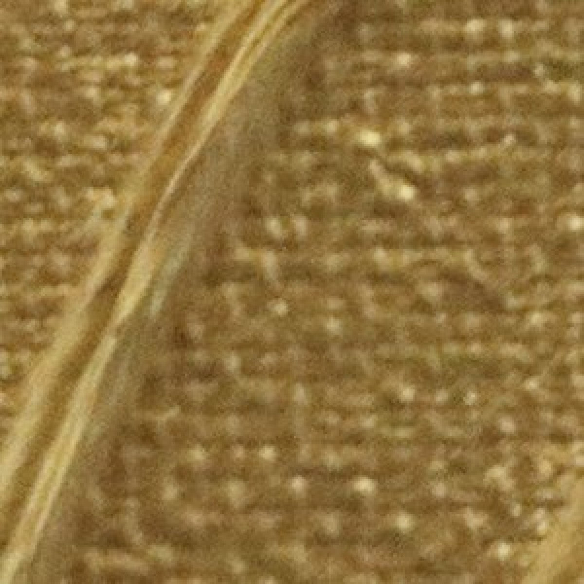Pebeo Origin Acrylics - 120 ml - 41 Gold