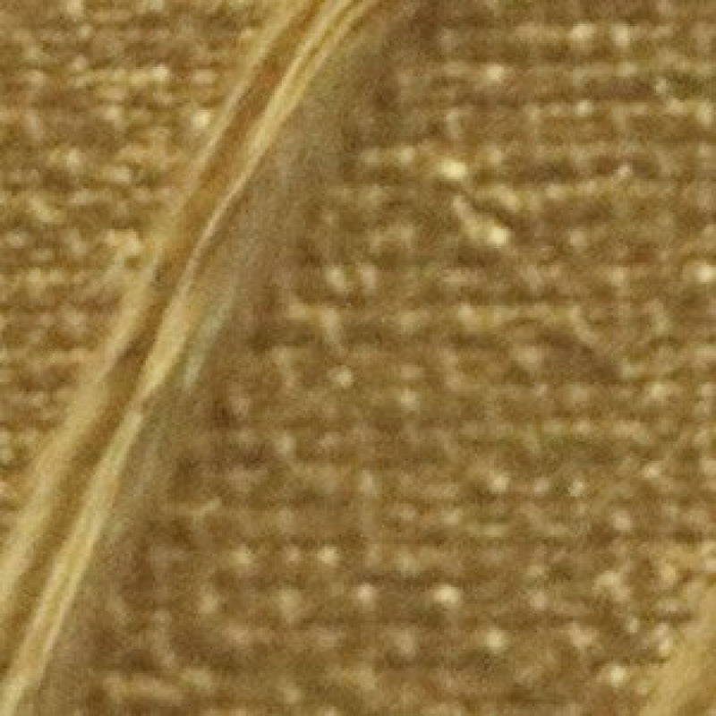 Pebeo Origin Acrylics - 120 ml - 41 Gold