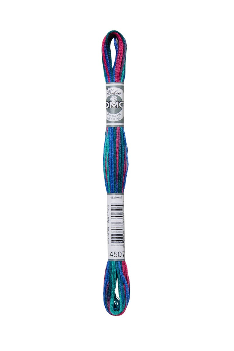 DMC Mouliné Coloris - 4507