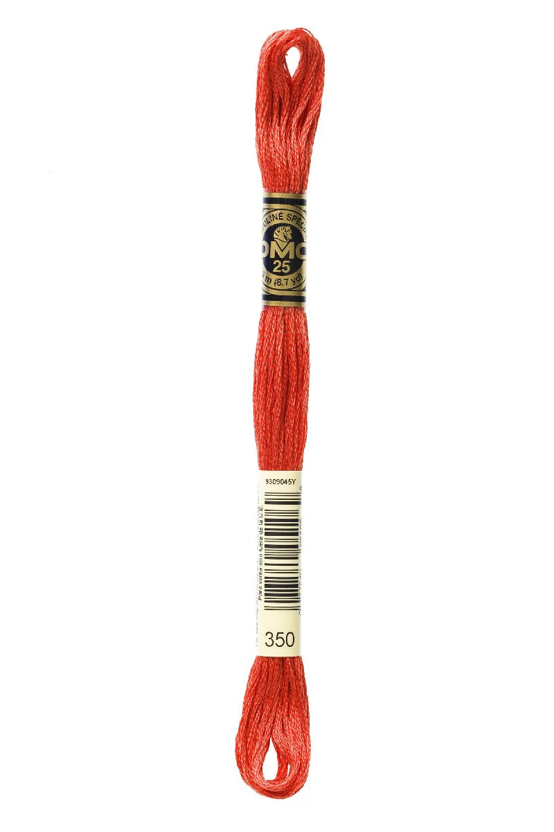 DMC Mouliné Spécial - 350