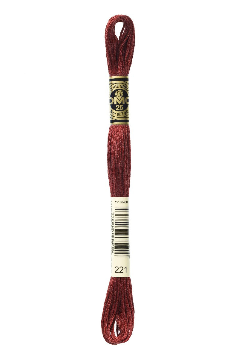 DMC Mouliné Spécial - 221